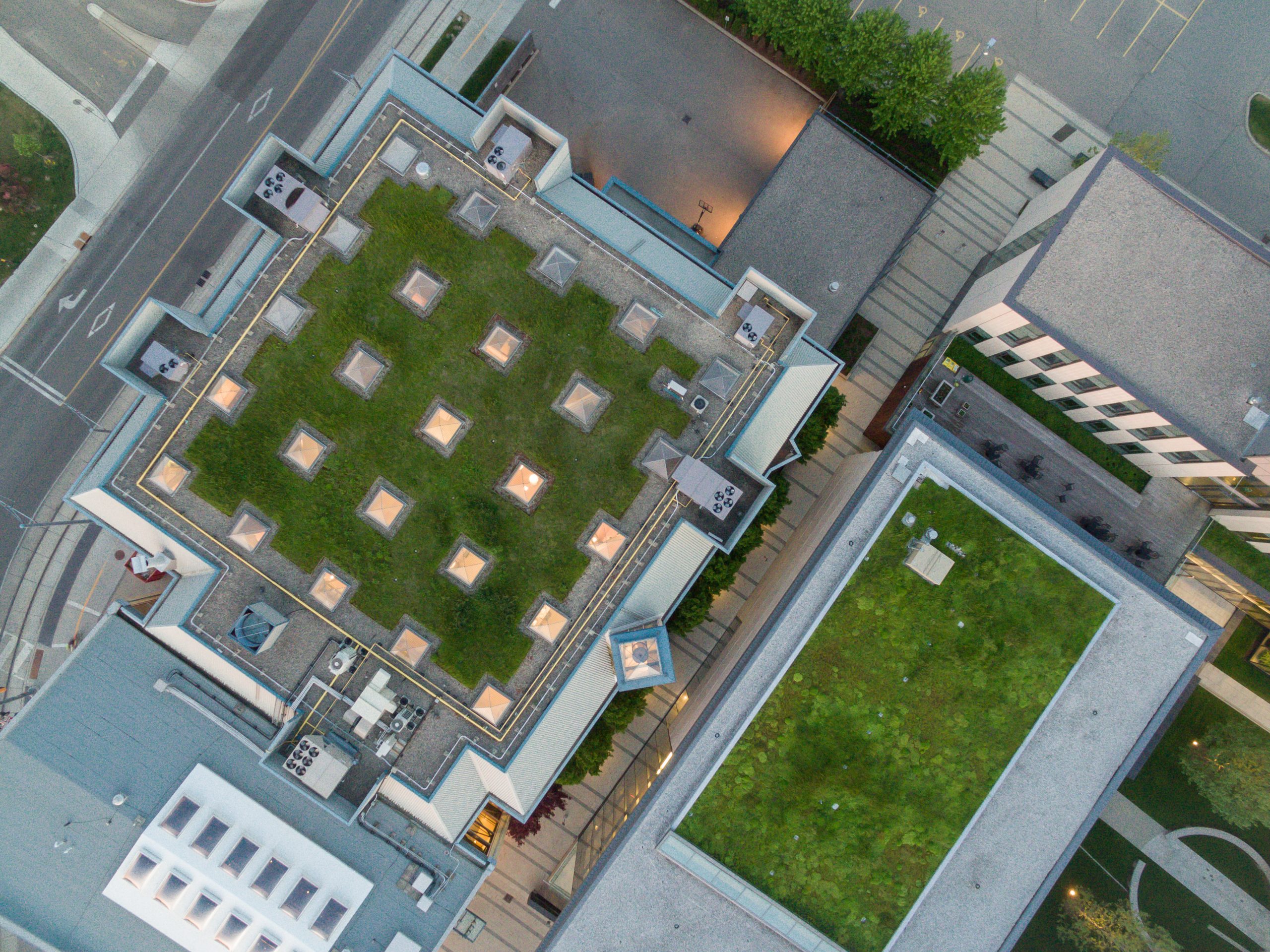 Aerial view of grass and other plants growing on the rooftops of two large buildings